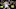 Real Madrid, Pablo Sarabia Real Madrid, Pablo Sarabia