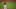 Texas Rangers starting pitcher Yu Darvish Texas Rangers starting pitcher Yu Darvish