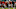 MIAMI GARDENS, FL – SEPTEMBER 02: Malik Rosier MIAMI GARDENS, FL – SEPTEMBER 02: Malik Rosier