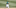 Tommy La Stella Tommy La Stella