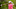 Daily Fantasy Golf Daily Fantasy Golf