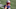 New England Patriots New England Patriots