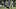 Sounders captain Brad Evans will sit against RSL