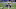 Chicago Bears, Allen Robinson Chicago Bears, Allen Robinson