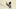 Draymond Green, Golden State Warriors Draymond Green, Golden State Warriors