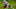 JC Jackson, 2021 NFL Draft JC Jackson, 2021 NFL Draft
