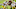 Syndication: Tallahassee Democrat Syndication: Tallahassee Democrat