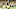 Michigan football Michigan football