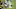 Jakeem Grant Jakeem Grant