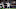 dallas mavericks dallas mavericks