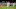 Timo Werner scored for RB Leipzig against TSG Hoffenheim. (Photo by Stuart Franklin/Getty Images) Timo Werner scored for RB Leipzig against TSG Hoffenheim. (Photo by Stuart Franklin/Getty Images)