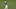 ORLANDO, FLORIDA – MARCH 08: Brooks Koepka plays an approach shot on the 11th hole during the second round of the Arnold Palmer Invitational Presented by Mastercard at the Bay Hill Club on March 08, 2019 in Orlando, Florida. (Photo by Sam Greenwood/Getty Images) ORLANDO, FLORIDA – MARCH 08: Brooks Koepka plays an approach shot on the 11th hole during the second round of the Arnold Palmer Invitational Presented by Mastercard at the Bay Hill Club on March 08, 2019 in Orlando, Florida. (Photo by Sam Greenwood/Getty Images)