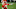 TAMPA, FLORIDA - FEBRUARY 07: Patrick Mahomes #15 of the Kansas City Chiefs looks to pass against the Tampa Bay Buccaneers in Super Bowl LV at Raymond James Stadium on February 07, 2021 in Tampa, Florida. (Photo by Patrick Smith/Getty Images) TAMPA, FLORIDA - FEBRUARY 07: Patrick Mahomes #15 of the Kansas City Chiefs looks to pass against the Tampa Bay Buccaneers in Super Bowl LV at Raymond James Stadium on February 07, 2021 in Tampa, Florida. (Photo by Patrick Smith/Getty Images)