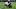 Trey Burton Chicago Bears Trey Burton Chicago Bears