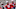 NFL rosters 2022
