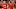 Jayne Kamin-Oncea-USA TODAY Sports Jayne Kamin-Oncea-USA TODAY Sports