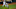 Joy R. Absalon-USA TODAY Sports Joy R. Absalon-USA TODAY Sports