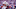 Scott Halleran/ALLSPORT