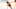 Boston Bruins Boston Bruins