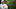 BEREA, OH – JULY 27, 2018: General manager John Dorsey of the Cleveland Browns smiles as he watches a drill during a training camp practice on July 27, 2018 at the Cleveland Browns training facility in Berea, Ohio. (Photo by: 2018 Nick Cammett/Diamond Images/Getty Images)