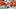 NFL Draft NFL Draft