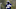 Seattle Seahawks running back Christine Michael. Credit: Joe Nicholson-USA TODAY Sports Seattle Seahawks running back Christine Michael. Credit: Joe Nicholson-USA TODAY Sports