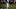 (Photo by Sean M. Haffey/Getty Images) – Los Angeles Dodgers (Photo by Sean M. Haffey/Getty Images) – Los Angeles Dodgers