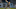 DraftKings DraftKings