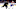 Ondrej Palat, Tampa Bay Lightning Ondrej Palat, Tampa Bay Lightning