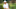 RIDGEDALE, MISSOURI – SEPTEMBER 22: Justin Thomas of the United States plays his shot from the 12th tee during the Payne’s Valley Cup on September 22, 2020 on the Payne’s Valley course at Big Cedar Lodge in Ridgedale, Missouri. (Photo by Tom Pennington/Getty Images for Payne’s Valley Cup) RIDGEDALE, MISSOURI – SEPTEMBER 22: Justin Thomas of the United States plays his shot from the 12th tee during the Payne’s Valley Cup on September 22, 2020 on the Payne’s Valley course at Big Cedar Lodge in Ridgedale, Missouri. (Photo by Tom Pennington/Getty Images for Payne’s Valley Cup)