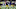Notre Dame football Notre Dame football