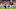 GLENDALE, AZ – DECEMBER 30: Wide receiver DaeSean Hamilton (Photo by Christian Petersen/Getty Images) GLENDALE, AZ – DECEMBER 30: Wide receiver DaeSean Hamilton (Photo by Christian Petersen/Getty Images)