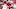 The Ohio State football team has leaned on its defense so far this season. The Ohio State football team has leaned on its defense so far this season.