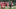 Nick Barmby, Liverpool. Nick Barmby, Liverpool.