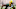 Green Bay Packers Green Bay Packers