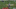 GIF viz Zombie Prophet (@ZProphet_MMA) GIF viz Zombie Prophet (@ZProphet_MMA)