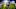 2021 NFL Draft prospect Jevon Holland 2021 NFL Draft prospect Jevon Holland