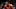Chicago Bulls, Wendell Carter Jr. Chicago Bulls, Wendell Carter Jr.