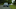 Ford Escort rally car Ford Escort rally car