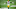 Green Bay Packers