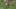 vernon davis touchdown knock out vernon davis touchdown knock out