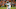 Ron Chenoy-USA TODAY Sports Ron Chenoy-USA TODAY Sports