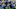 TE Will Dissly and Nick Vannett of the Seahawks TE Will Dissly and Nick Vannett of the Seahawks