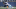 Seahawks Seahawks