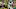 Shaun Alexander, Seahawks great Shaun Alexander, Seahawks great