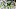 SEATTLE, WA – DECEMBER 15: Running back Thomas Rawls (Photo by Otto Greule Jr/Getty Images) SEATTLE, WA – DECEMBER 15: Running back Thomas Rawls (Photo by Otto Greule Jr/Getty Images)
