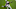 GLENDALE, ARIZONA – OCTOBER 25: Christian Kirk #13 of the Arizona Cardinals fails to make a catch at the goal line while being defended by Quinton Dunbar #22 of the Seattle Seahawks during overtime at State Farm Stadium on October 25, 2020 in Glendale, Arizona. The Cardinals won 37-34. (Photo by Norm Hall/Getty Images) GLENDALE, ARIZONA – OCTOBER 25: Christian Kirk #13 of the Arizona Cardinals fails to make a catch at the goal line while being defended by Quinton Dunbar #22 of the Seattle Seahawks during overtime at State Farm Stadium on October 25, 2020 in Glendale, Arizona. The Cardinals won 37-34. (Photo by Norm Hall/Getty Images)