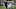 Seahawks Alex Collins Seahawks Alex Collins