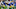 Pittsburgh Panthers Vs Tennessee Volunteers Pittsburgh Panthers Vs Tennessee Volunteers