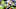 Seahawks Al Woods Seahawks Al Woods